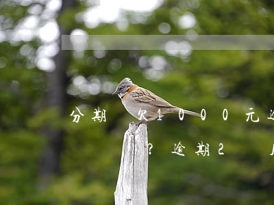 分期樂欠1000元逾期6個月，會起訴嗎？逾期2個月真的會被告嗎？